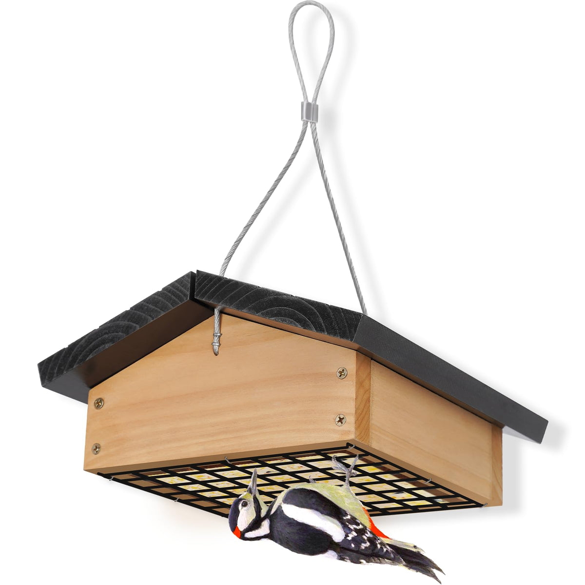 Gbekery Upside-Down Design suet feeder attracts woodpeckers and chickadees for lively backyard visits.