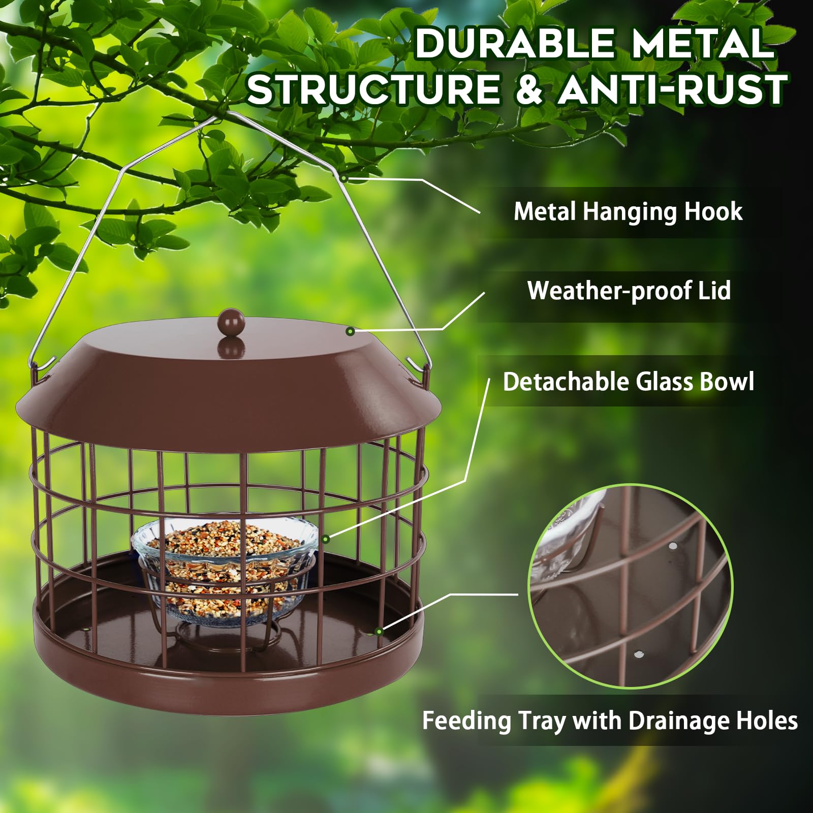 Gbekery glass bowl can hold mealworms, water, or jam.
