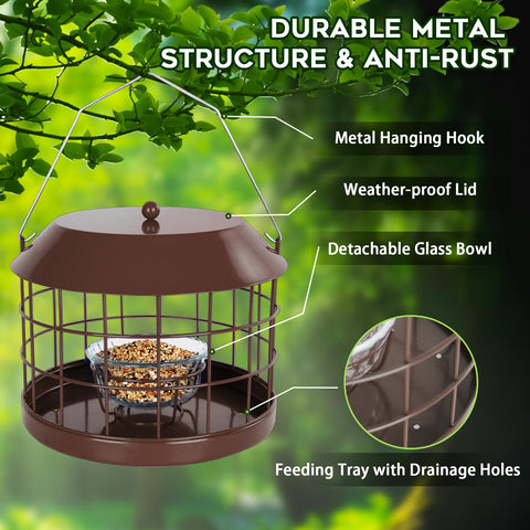 Gbekery glass bowl can hold mealworms, water, or jam.
