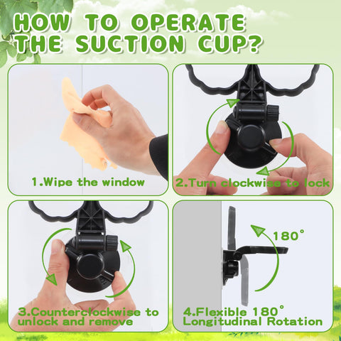 GBekery wide-mouth design simplifies nectar filling and maintenance.