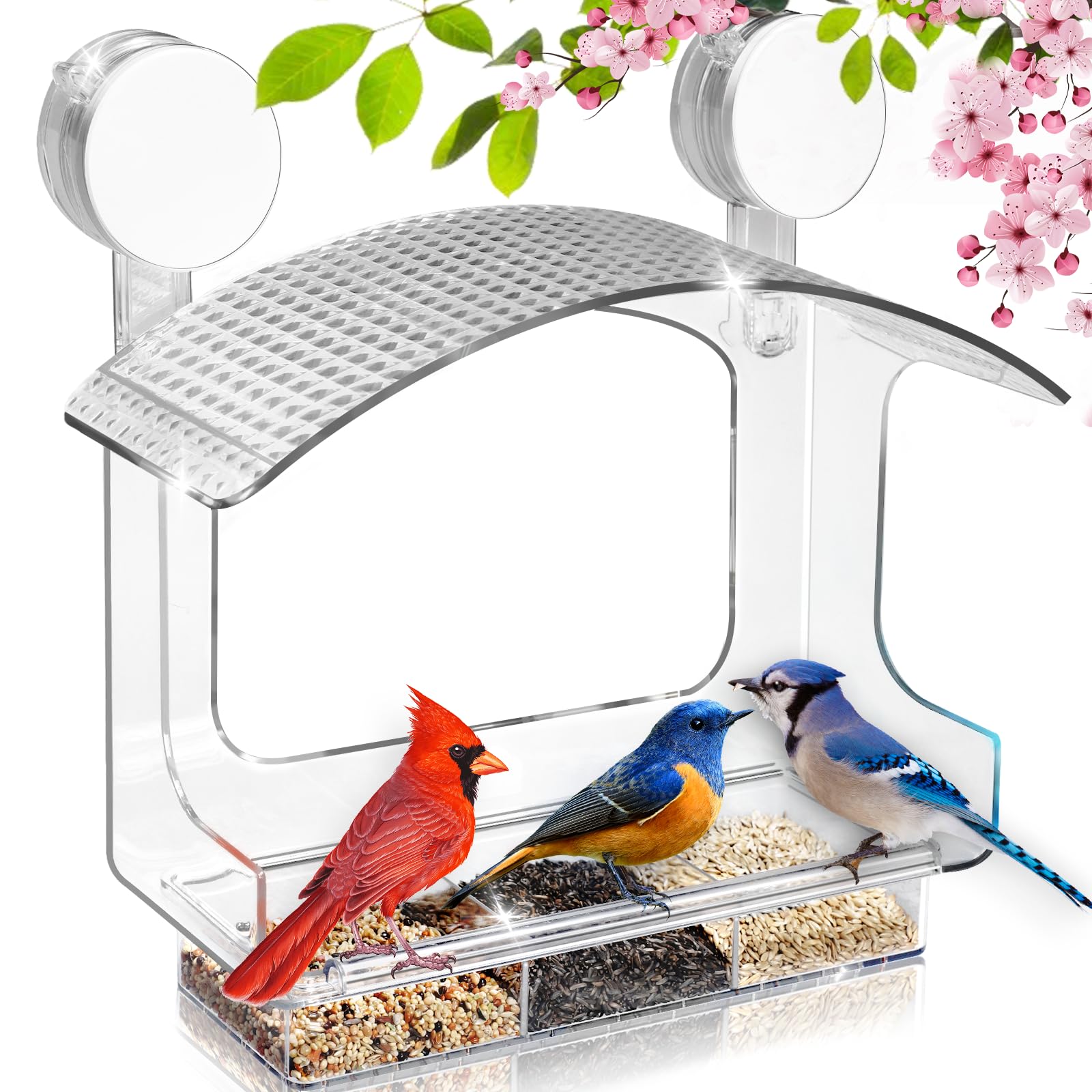 Gbekery Window Bird Feeder with strong suction cups securing a busy feeder