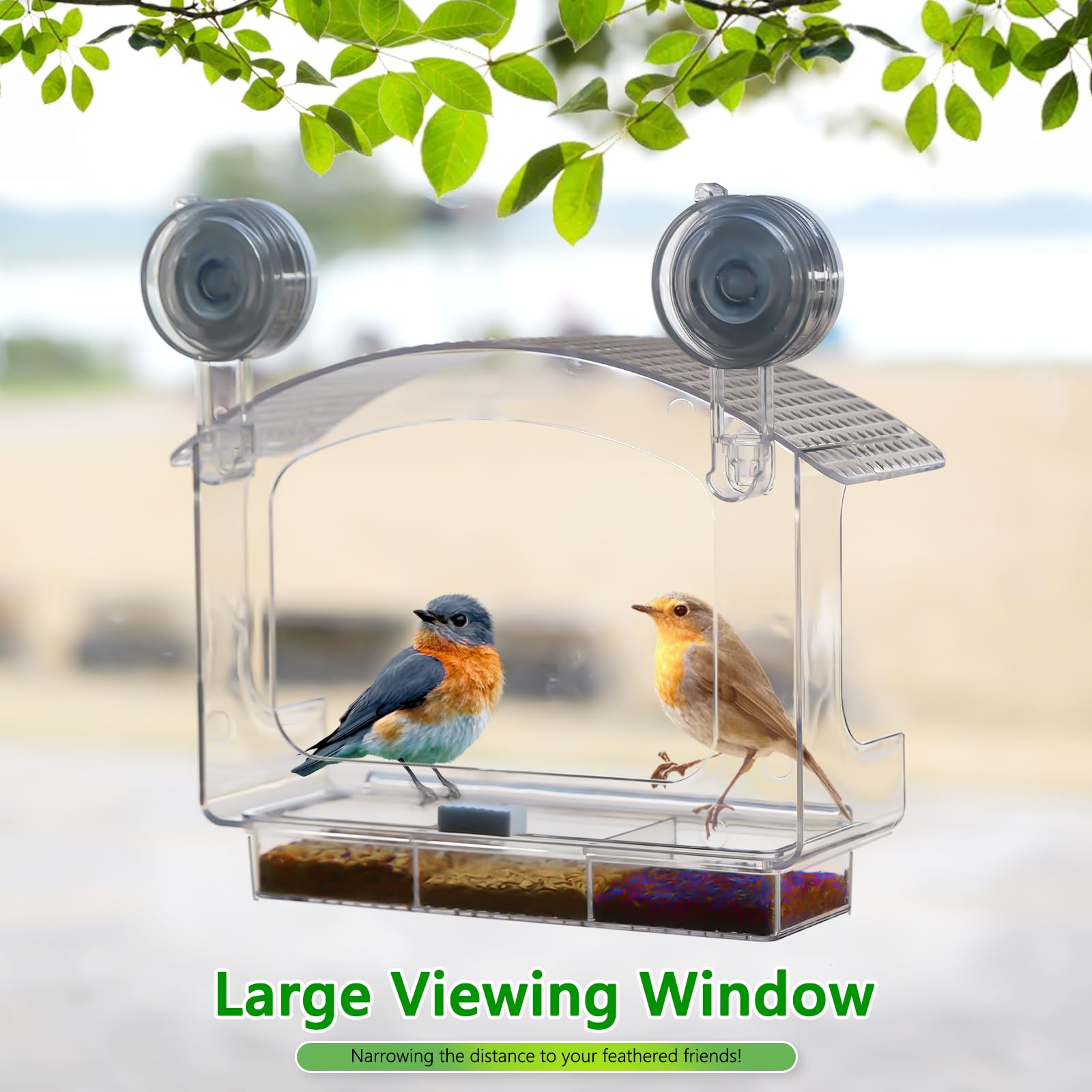 Three compartments on Gbekery Window Bird Feeder for seed variety