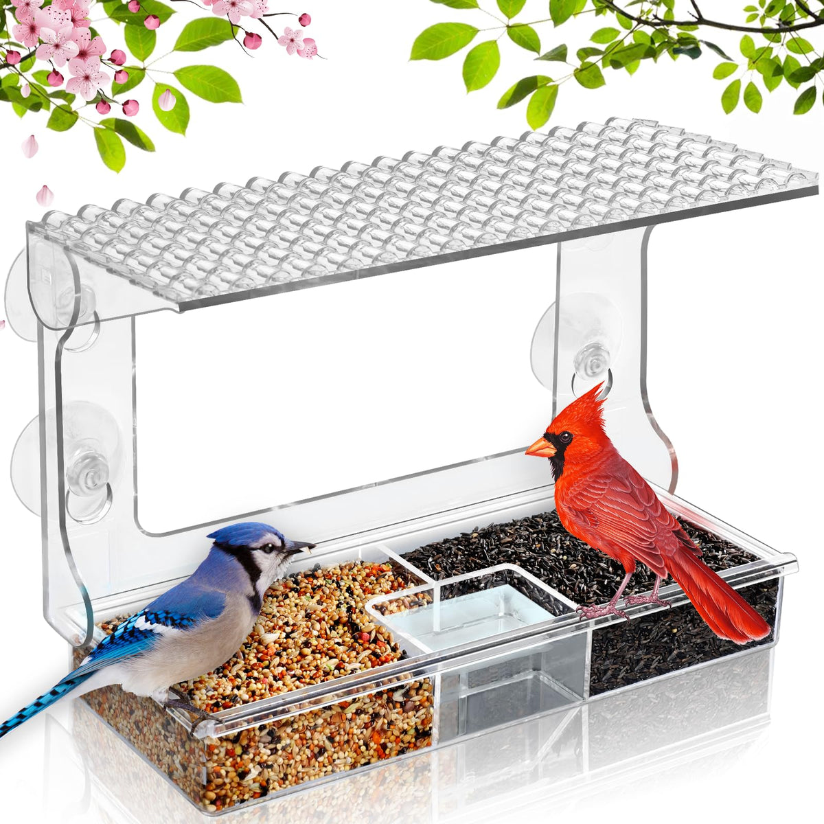 Gbekery window bird feeder with triple-compartment design for diverse seeds and water