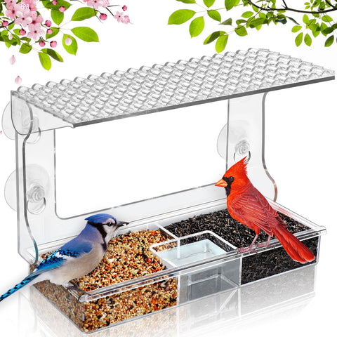 Gbekery window bird feeder with triple-compartment design for diverse seeds and water