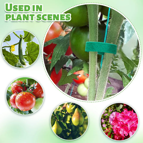 GCTWFYK twist ties green 1-2 inch for sturdy plant support.
