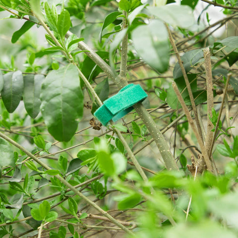 GCTWFYK weather-resistant garden tape ideal for outdoor planting.