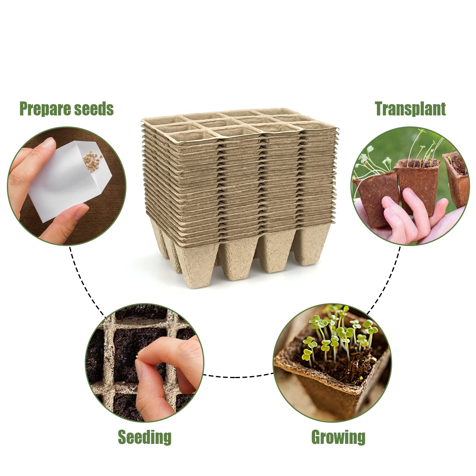 GCVOPTON included plant labels help track varieties.