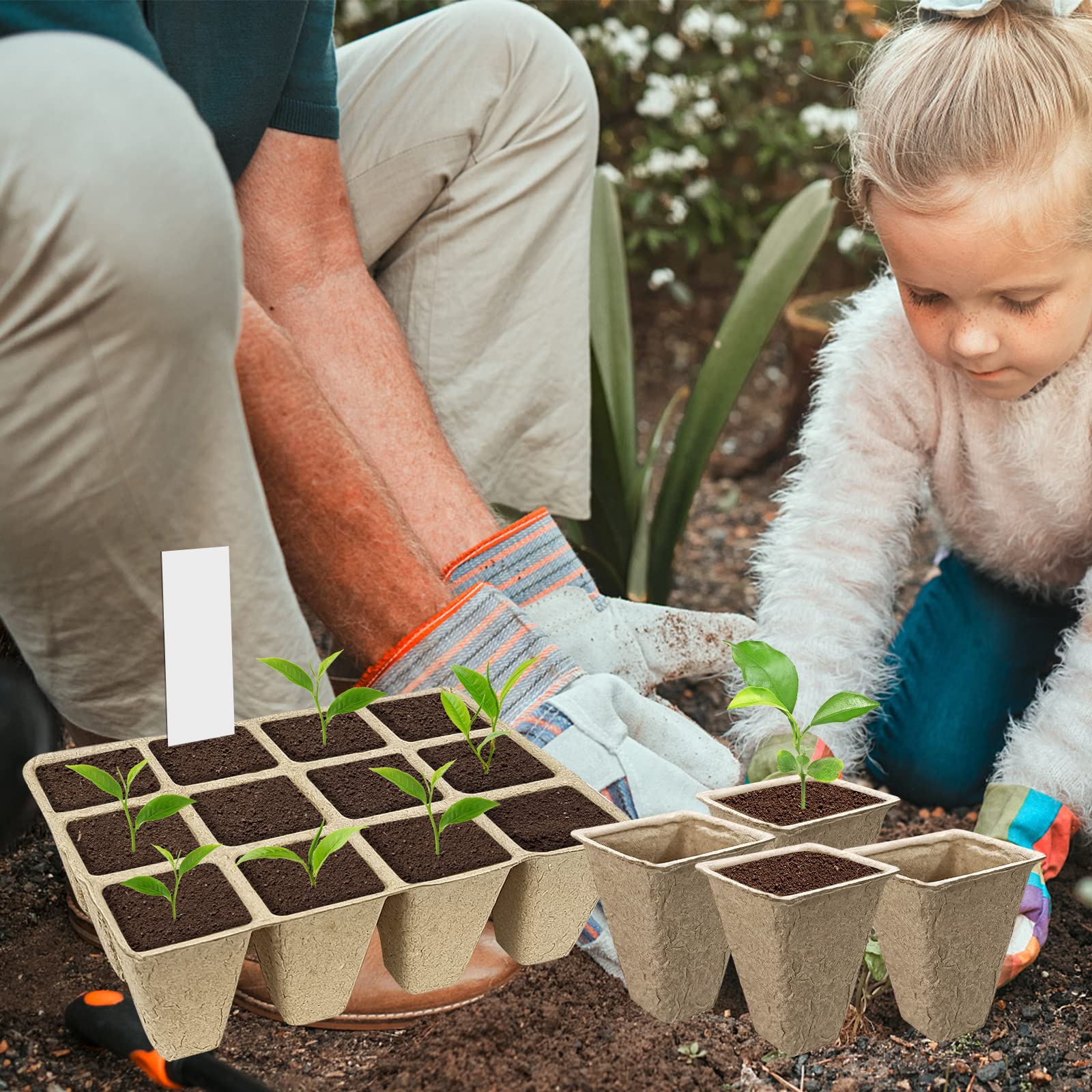 GCVOPTON shovel included for easy transplanting and labeling.