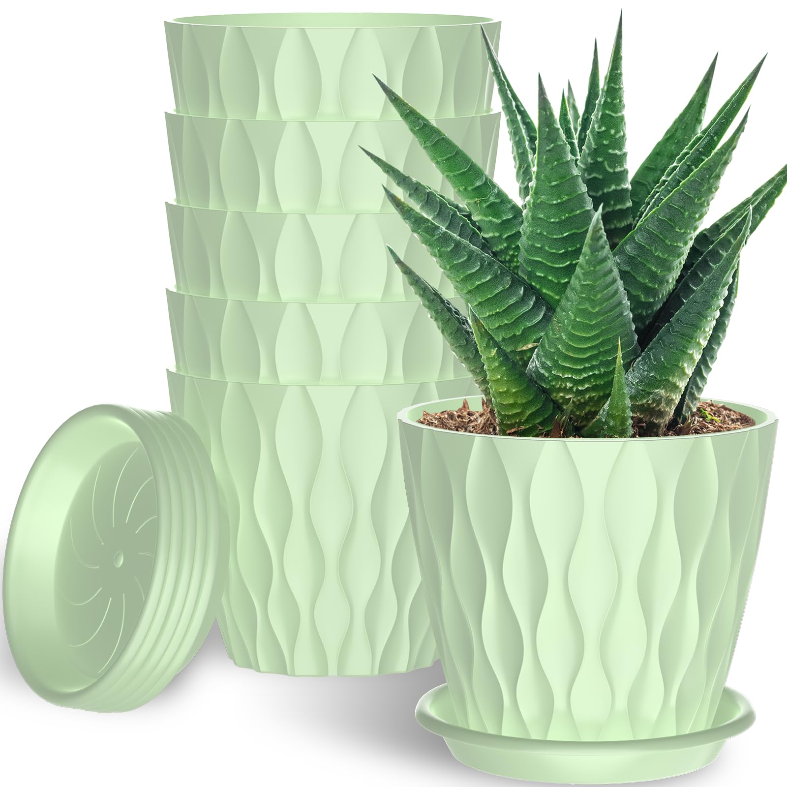 GDJUQZ 6-inch pot with drainage hole for healthy root growth and easy watering.