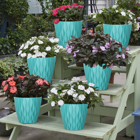 GDJUQZ 6-pack 7-inch pots, ready for gifting and batch planting.