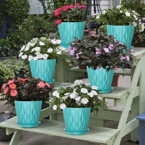 GDJUQZ 6-inch herb pot keeps kitchen herbs organized and accessible
