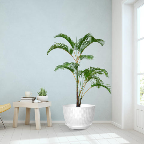 GDJUQZ white pot suitable for indoor and outdoor spaces.
