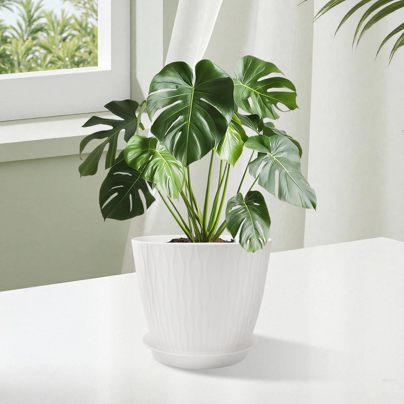 GDJUQZ removable saucer tray catches excess water neatly.