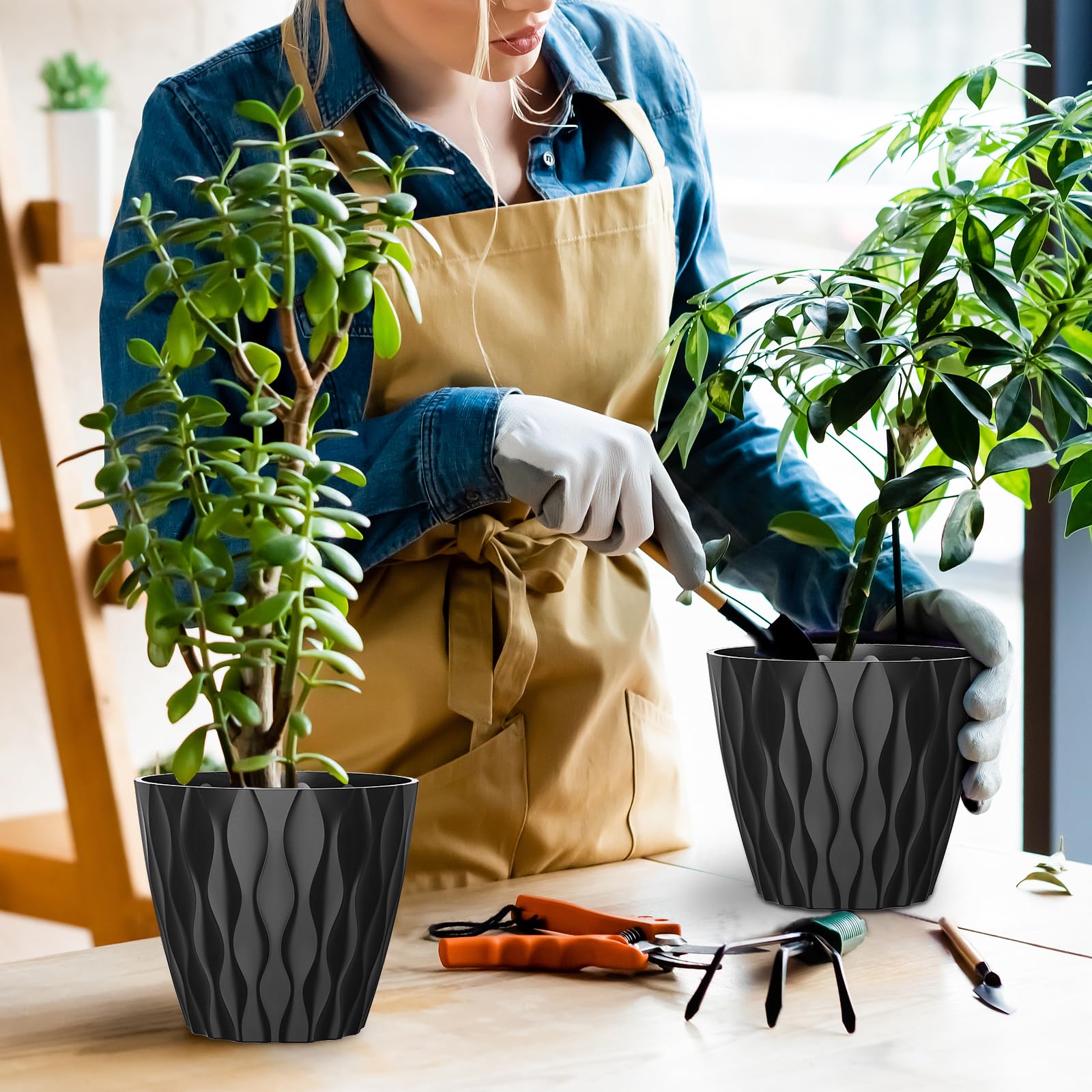 GDJUQZ suitable for orchids violets succulents and herbs