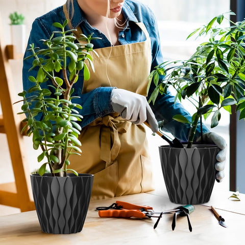 GDJUQZ suitable for orchids violets succulents and herbs
