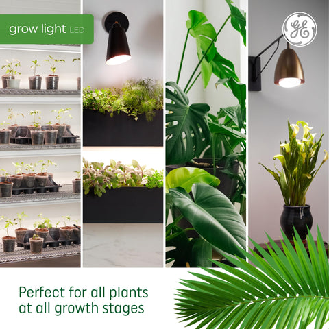 Versatile GE BR30 light for kitchens, balconies, and offices.