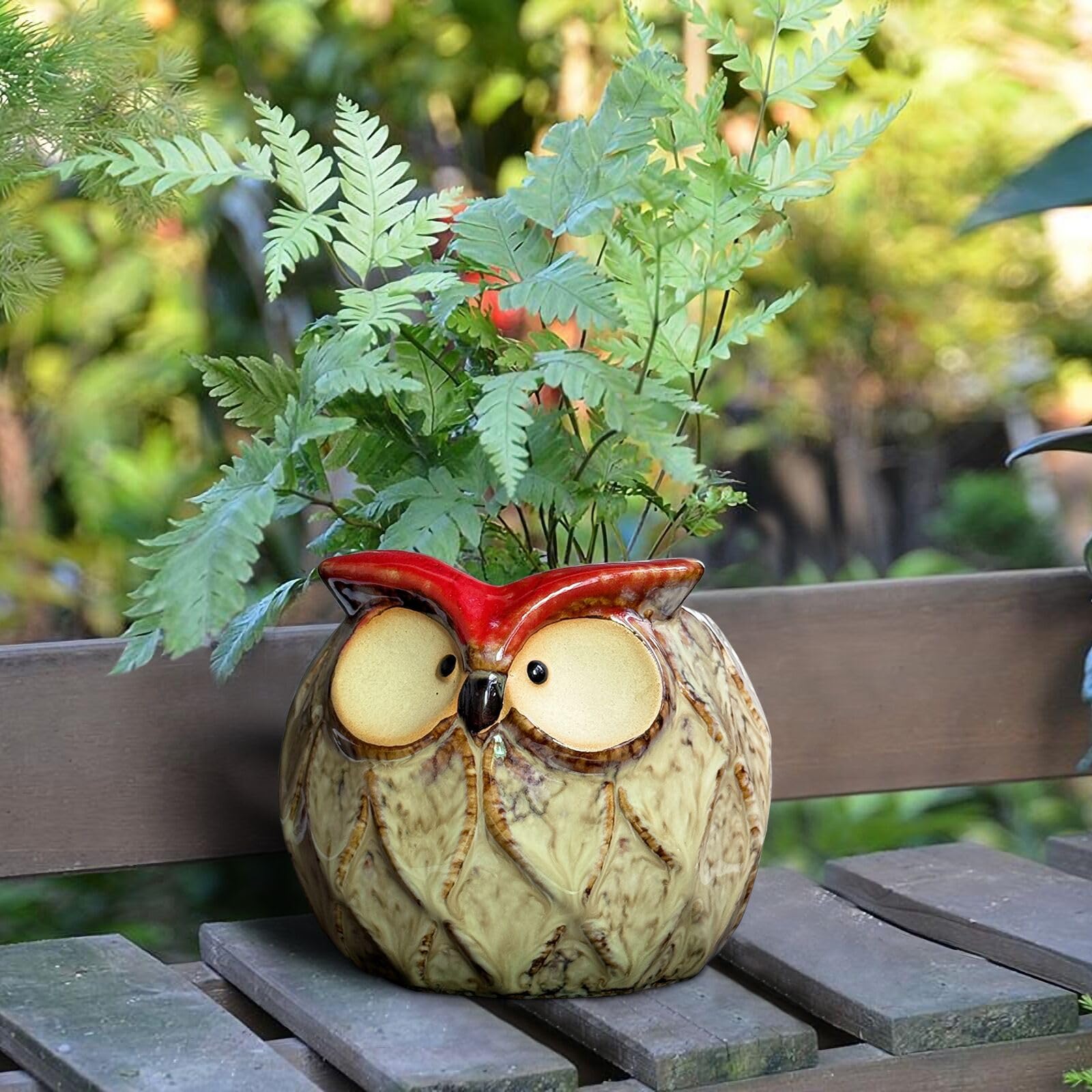 GeLive Owl planter with easy-clean ceramic surface