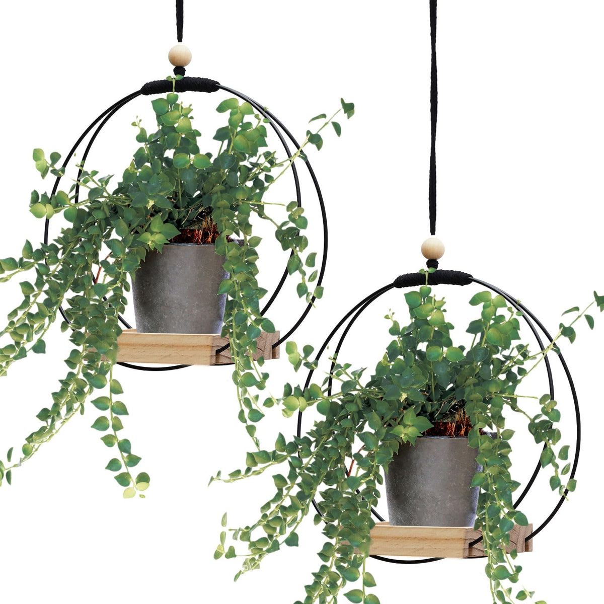 Geelin 2-pack plant hanger with wood base in black enhances window decor.