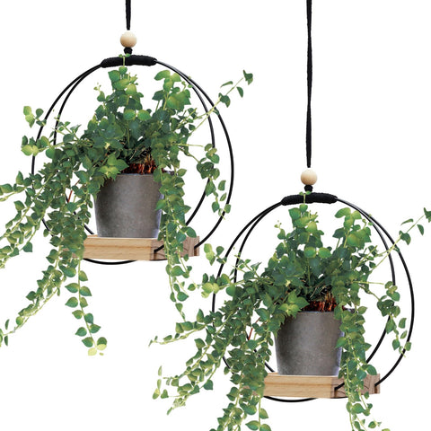 Geelin 2-pack plant hanger with wood base in black enhances window decor.
