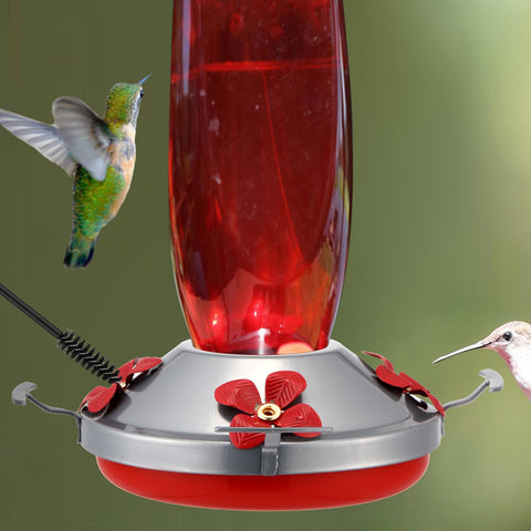 Geelin four perches provide comfortable feeding spacing for hummingbirds.