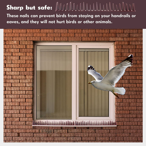 Geetery spikes suitable for roofs, balconies, gutters and more.