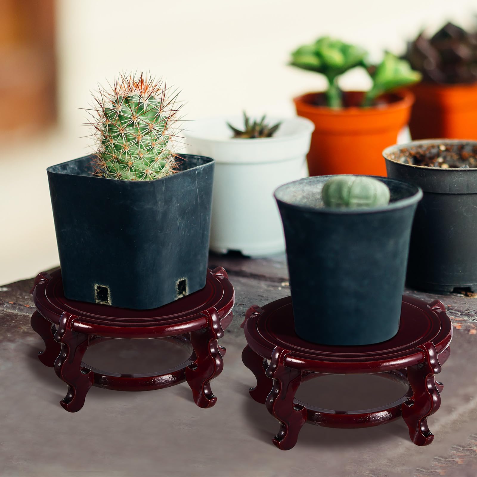 Geetery rosewood base stand adds depth and warmth to indoor plant displays.