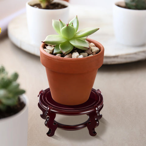 Geetery 6x6x3.5 inch stand fits multiple vase shapes for versatile setups.