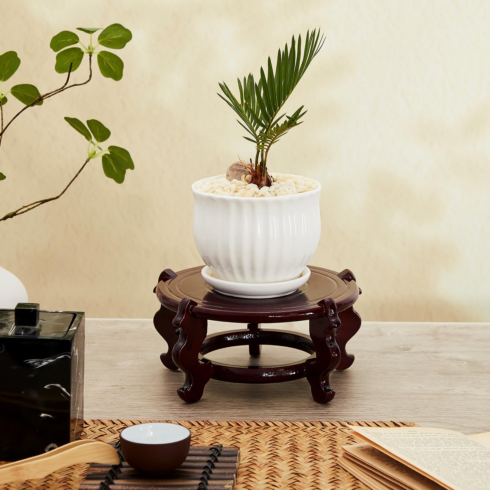 Geetery vintage display rack elevates plants or decor pieces with classic charm.