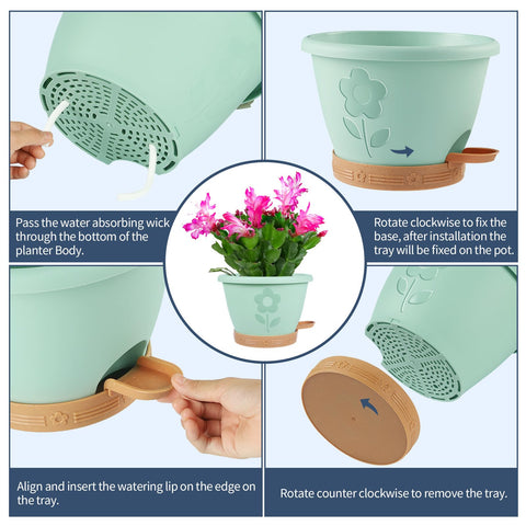 gegemaoyi 10-inch 4-pack display offers versatile planting options.