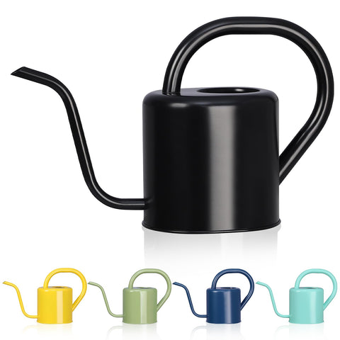 Gegemaoyi stainless steel 1L watering can—rust-resistant for indoor and outdoor use.