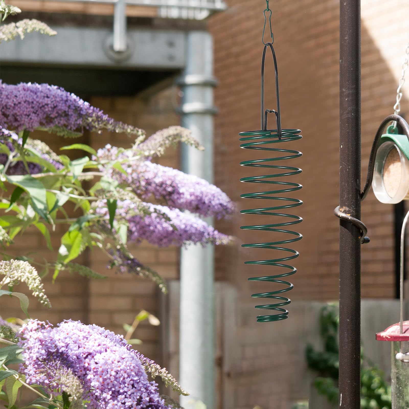 Geiserailie squirrel feeder invites outdoor fun near coffee breaks.