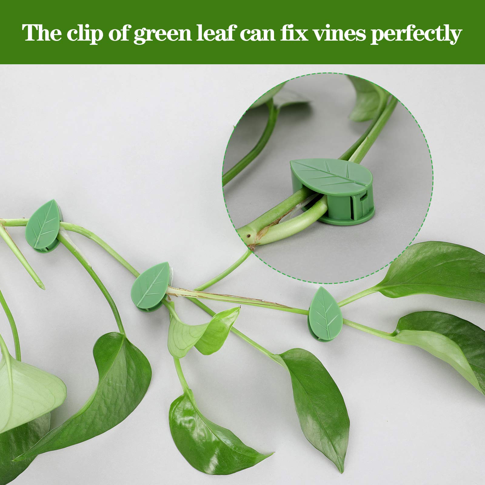Geiserailie green leaf-shaped clips blend with vines and guide growth