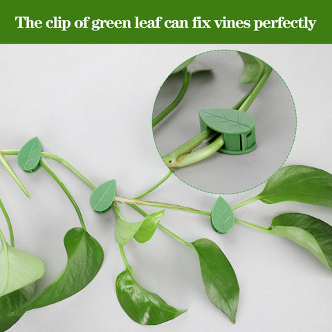 Geiserailie green leaf-shaped clips blend with vines and guide growth