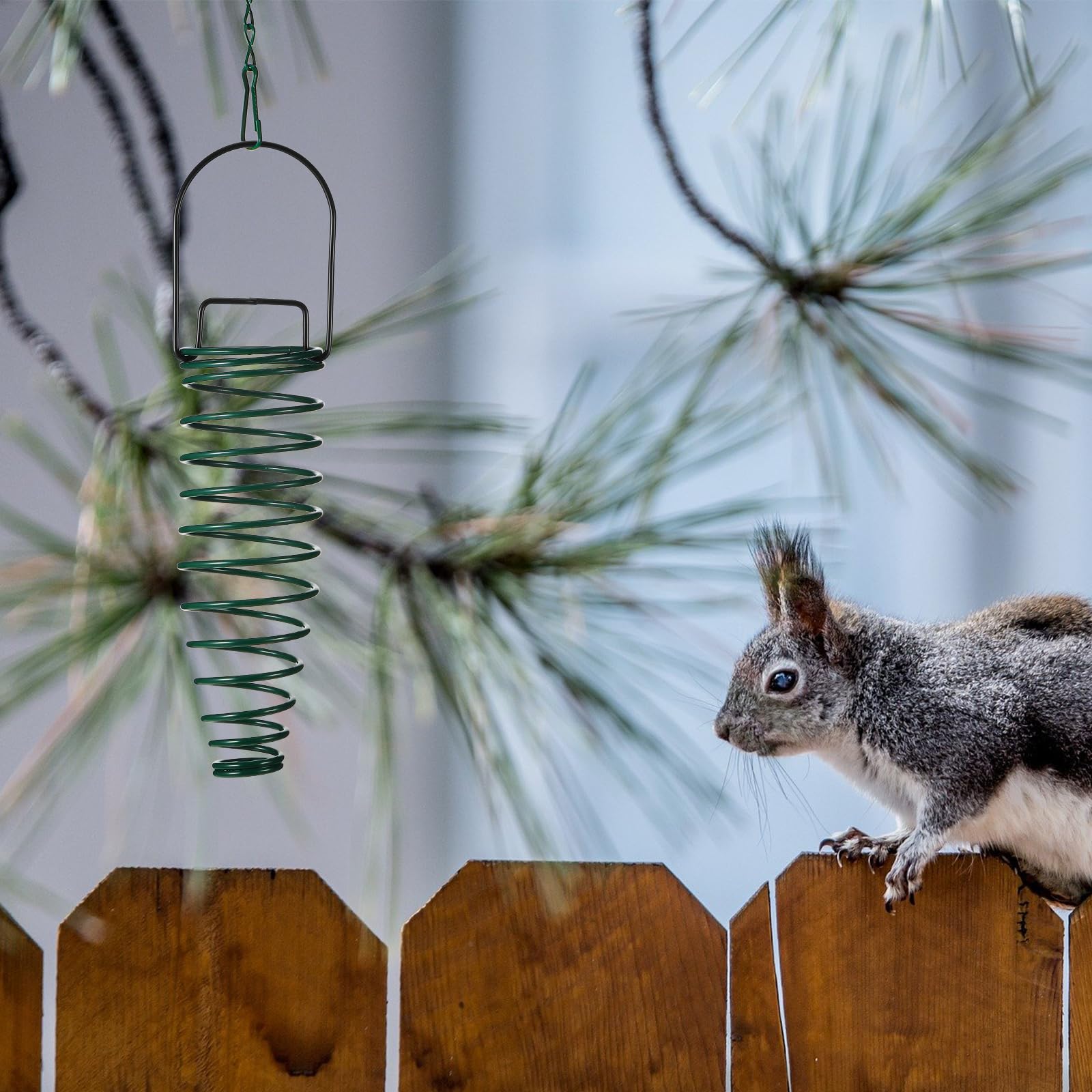 Geiserailie wildlife-friendly design supports enjoyable garden observation.