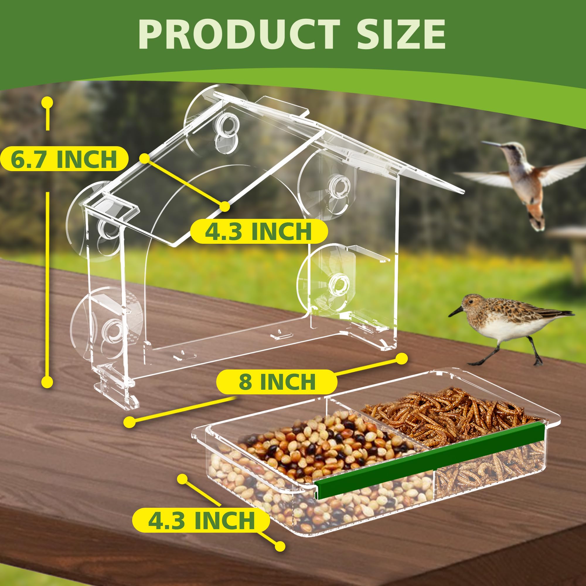 GelinRedcap anti-slip silicone belt stabilizes perched birds during feeding.