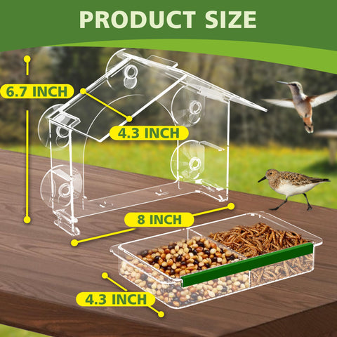 GelinRedcap anti-slip silicone belt stabilizes perched birds during feeding.