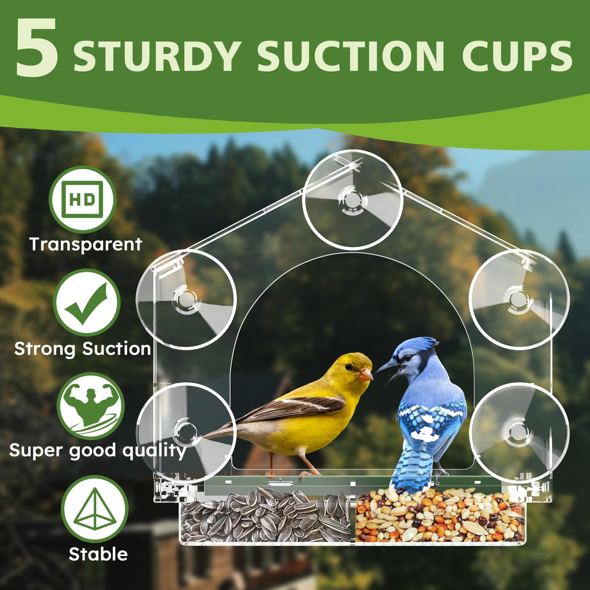 GelinRedcap window feeder, clear viewing pane enhances immersive backyard birdwatching.