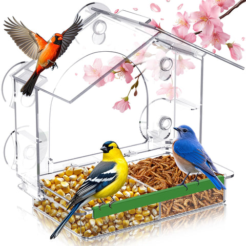 GelinRedcap window bird feeder with 5 suction cups, secure in wind for clear viewing.