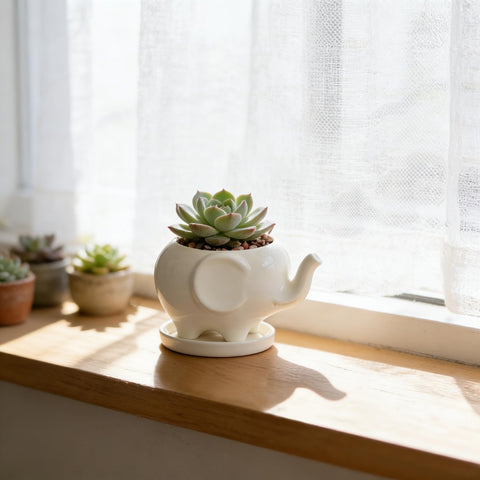 GeLive animal indoor decor planter offering versatile display for shelves