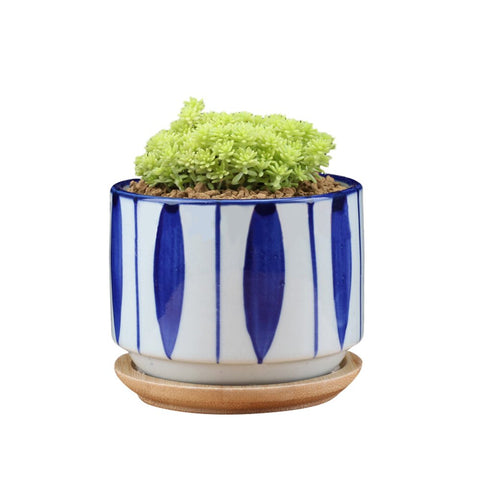 GeLive bamboo-drip-trays; two removable trays keep surfaces dry.