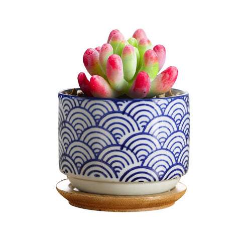 GeLive blue-flower-pattern ceramic planter; vibrant accent for shelves.