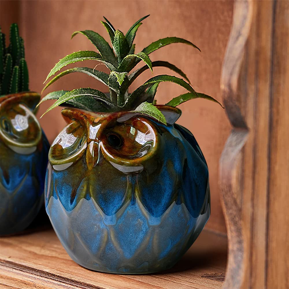 Durable ceramic GeLive owl pot with bottom drainage keeps soil healthy
