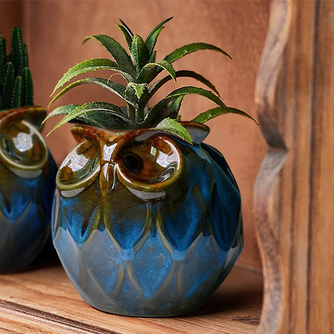 Durable ceramic GeLive owl pot with bottom drainage keeps soil healthy