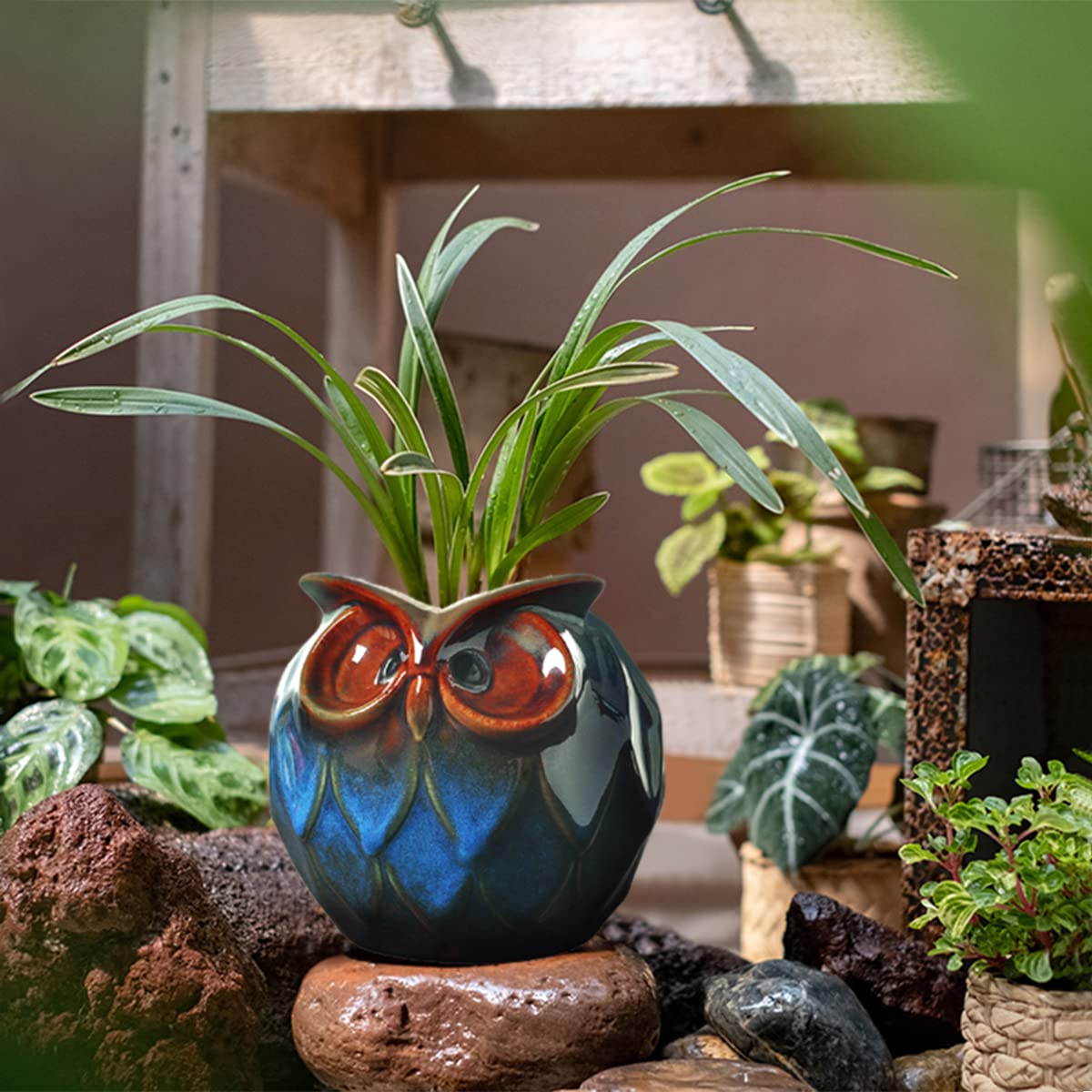 Adorable owl ceramic planter by GeLive for desks and shelves