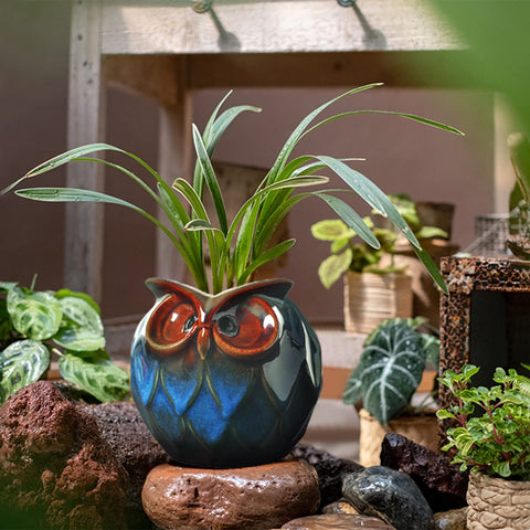Adorable owl ceramic planter by GeLive for desks and shelves