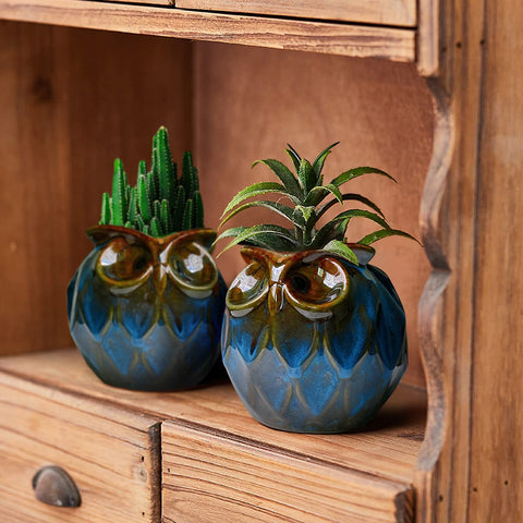 GeLive blue glaze on owl ceramic planter adds elegant decor touch