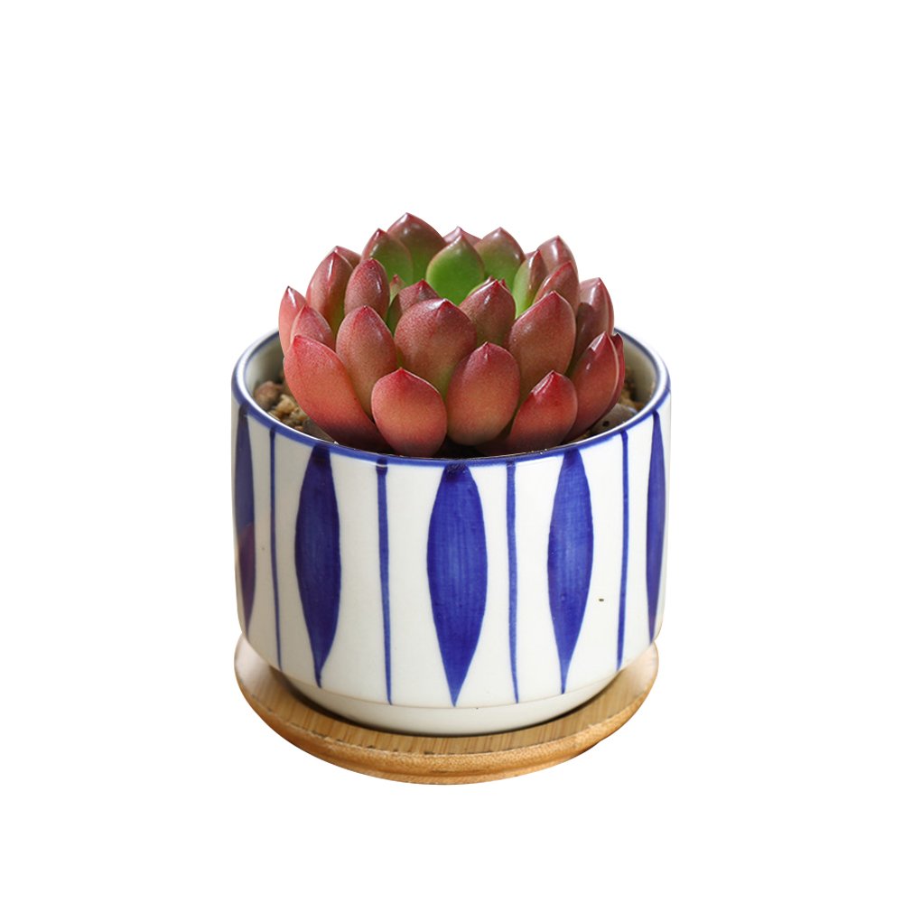 GeLive 3-inch set; portable, space-saving planters for tiny gardens.
