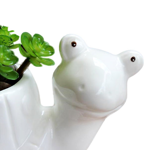 GeLive decorative turtle pot on a desk adds playful decor