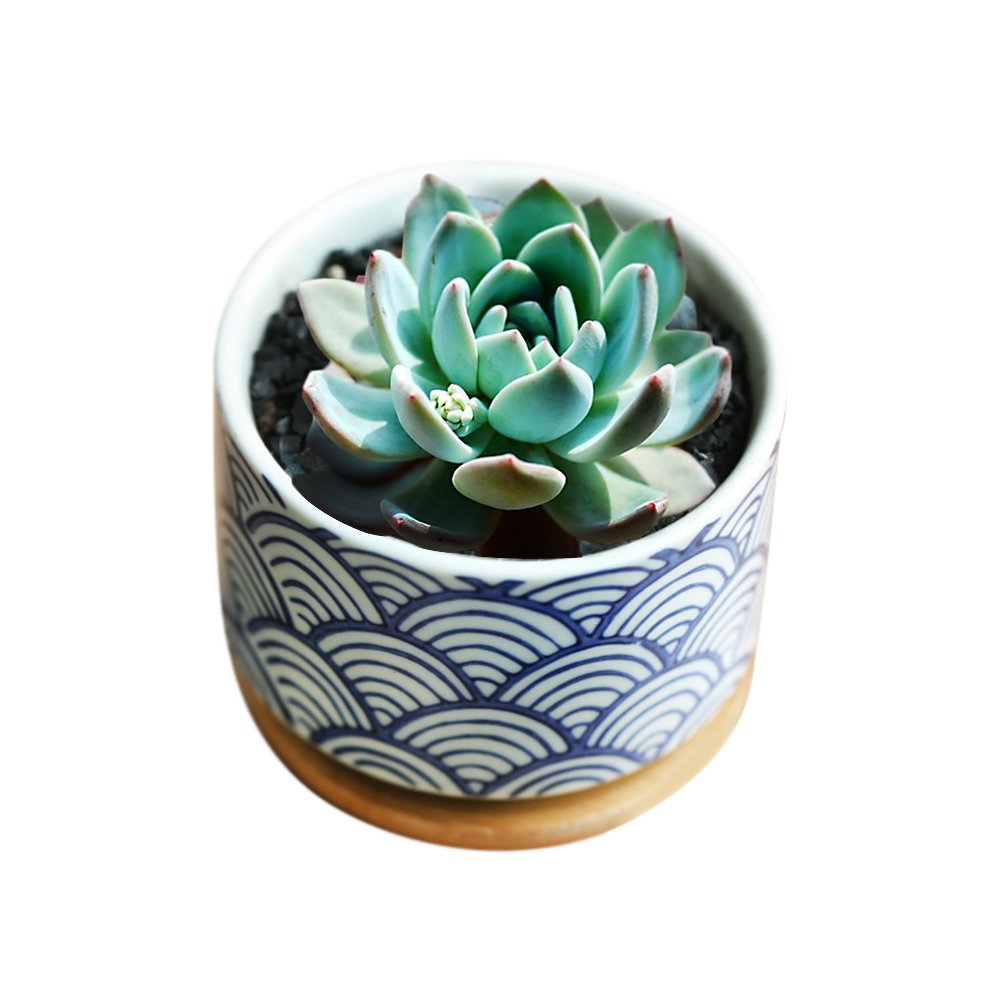 GeLive gift-ready ceramic planters; charming for housewarming or office decor.