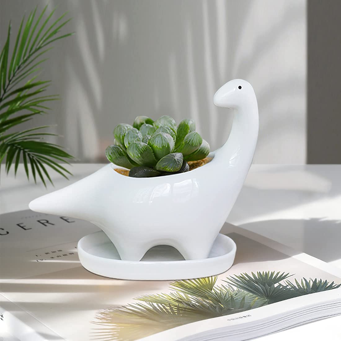 GeLive small 5-inch planter with clear dimensions for compact plants